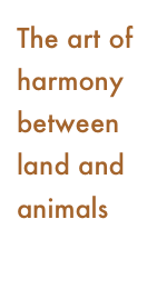 The art of harmony between land and animals
